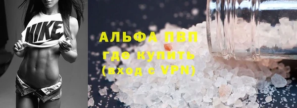 спайс Баксан