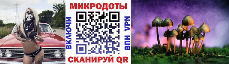 Галлюциногенные грибы мухоморы  дарк нет телеграм  Чулым 